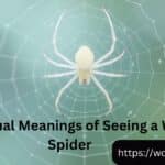 15 Spiritual Meanings of Seeing a White Spider