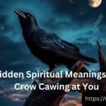 The Hidden Spiritual Meanings Behind Crow Cawing at You
