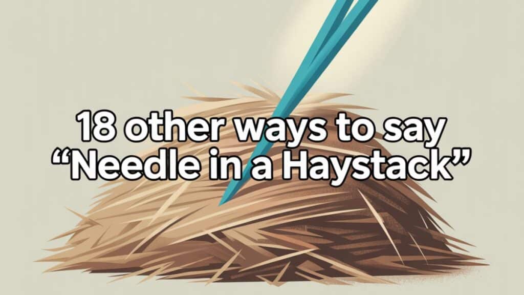 18 Other Ways to Say “Needle In a Haystack”