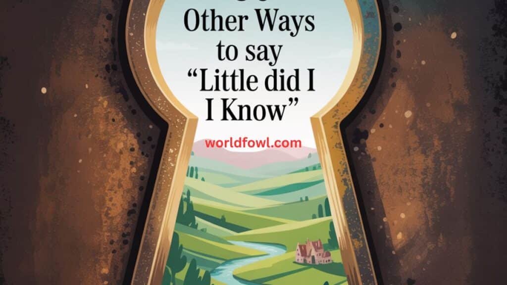 30 Other Ways to Say “Little Did I Know”