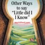 30 Other Ways to Say “Little Did I Know”