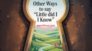 30 Other Ways to Say “Little Did I Know”
