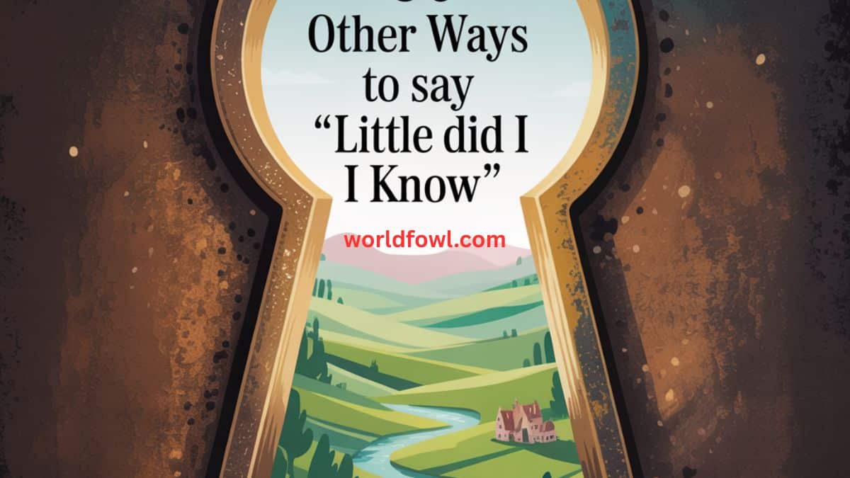 30 Other Ways to Say “Little Did I Know”