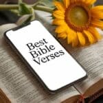 Best Bible Verses for Your WhatsApp Profile Picture