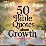 50 Bible Quotes About Growth to Inspire Your Journey