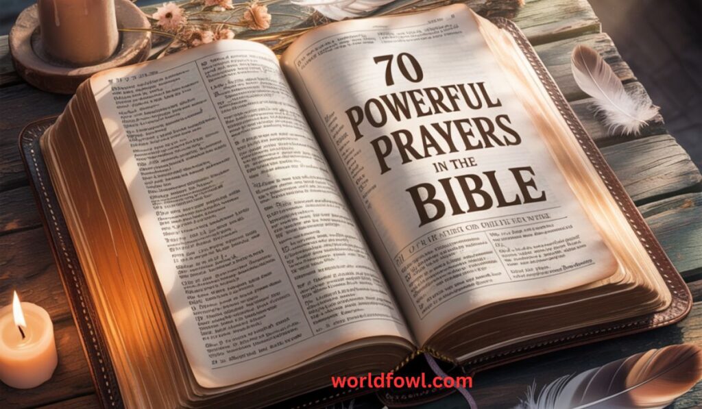 70 Powerful Prayers in The Bible