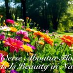 Bible Verses About Flowers: God's Beauty in Nature