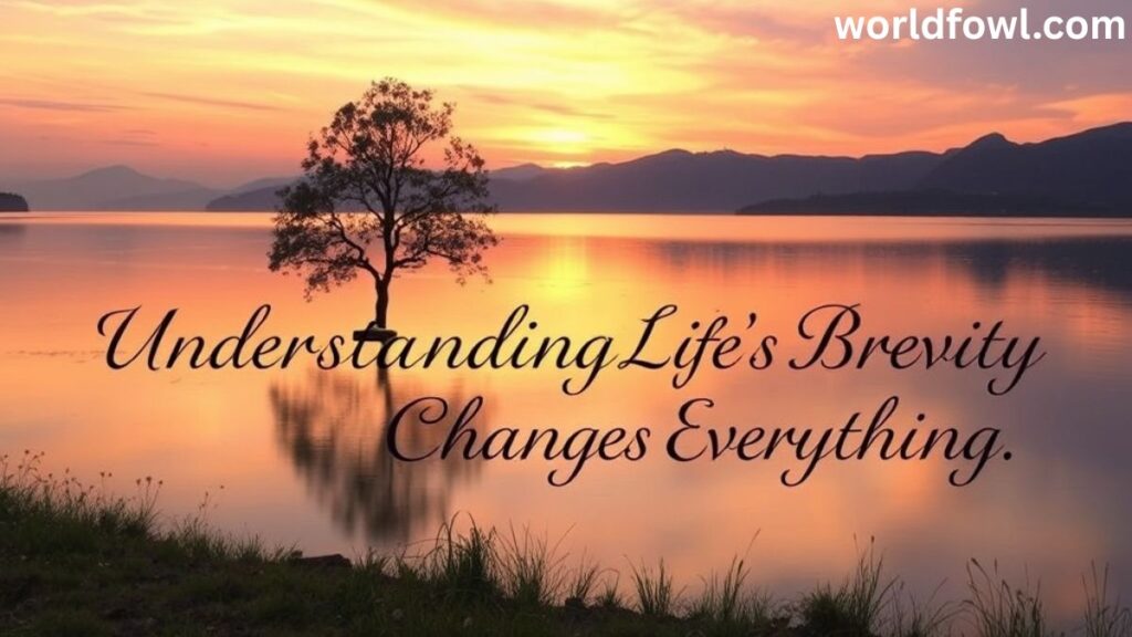 Bible Verses About Flowers: God's Beauty in Nature