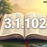 How Many Verses Are in the Bible?