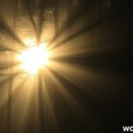 Be the Light: Bible Verse and Its Meaning