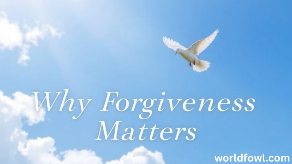 Bible Verses About Forgiving Others Who Hurt You