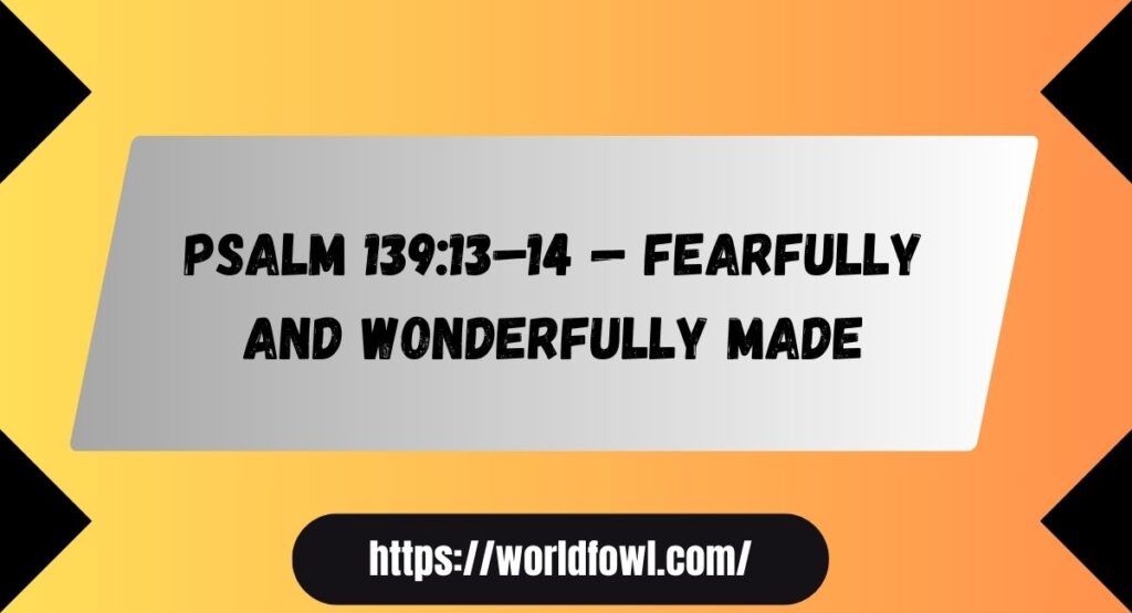 19 Bible Verses About Confidence