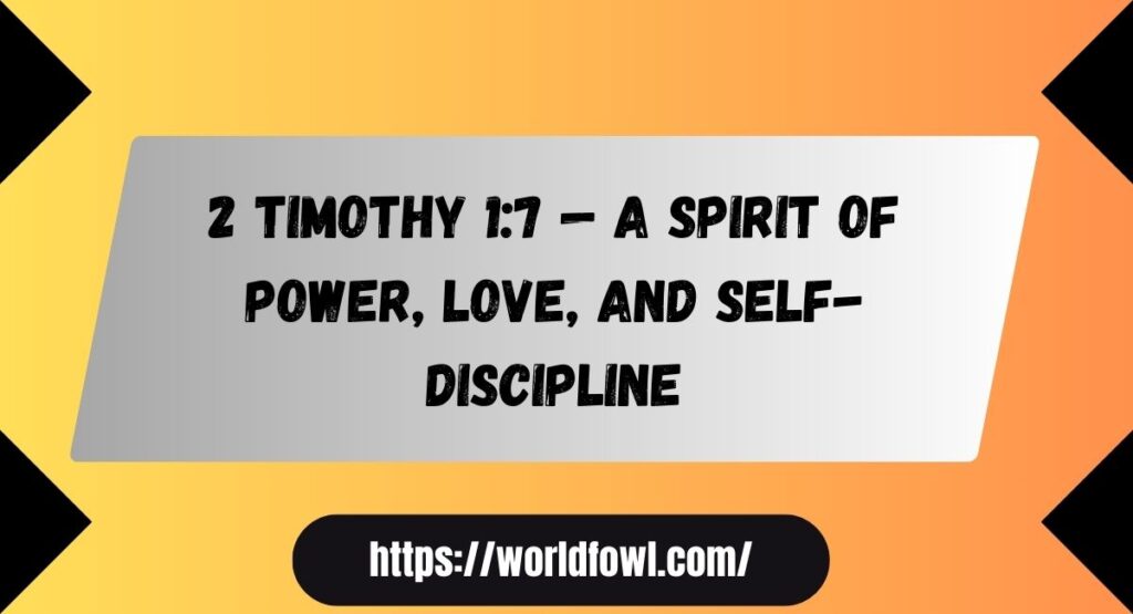 19 Bible Verses About Confidence