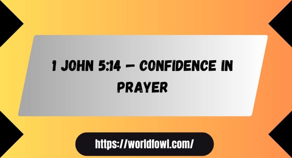 19 Bible Verses About Confidence