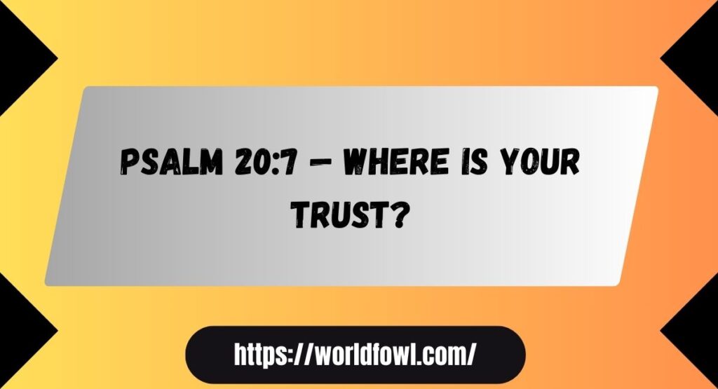 19 Bible Verses About Confidence