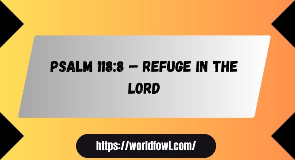 19 Bible Verses About Confidence