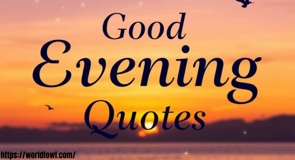154+ Good Evening Messages, Wishes & Quotes